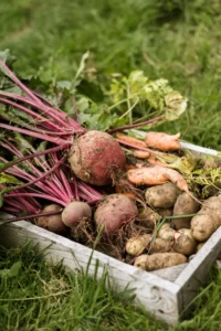 Root Vegetables